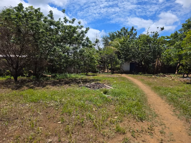 FH | En Renta Terreno 1241 v² (875.55 m²) | Sabana Grande