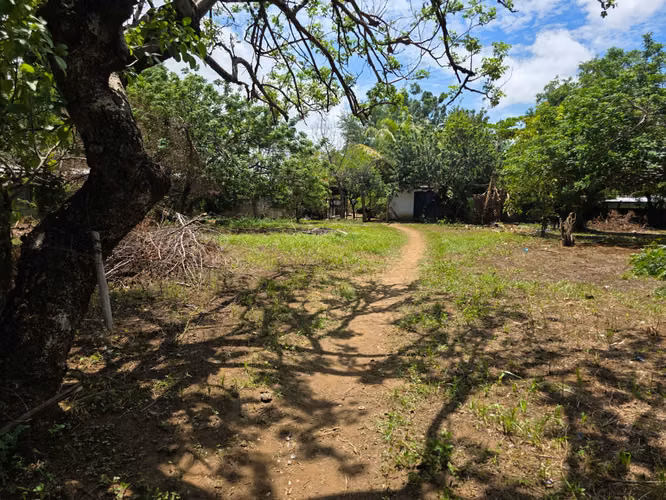 FH | En Renta Terreno 1241 v² (875.55 m²) | Sabana Grande