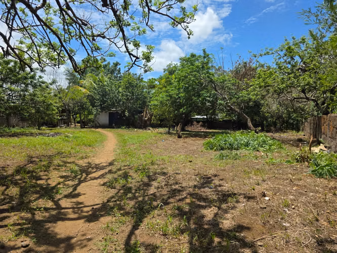 FH | En Renta Terreno 1241 v² (875.55 m²) | Sabana Grande