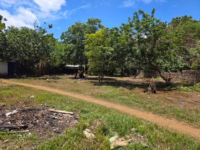 FH | En Renta Terreno 1241 v² (875.55 m²) | Sabana Grande