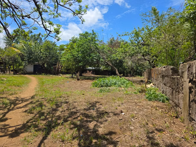 FH | En Renta Terreno 1241 v² (875.55 m²) | Sabana Grande