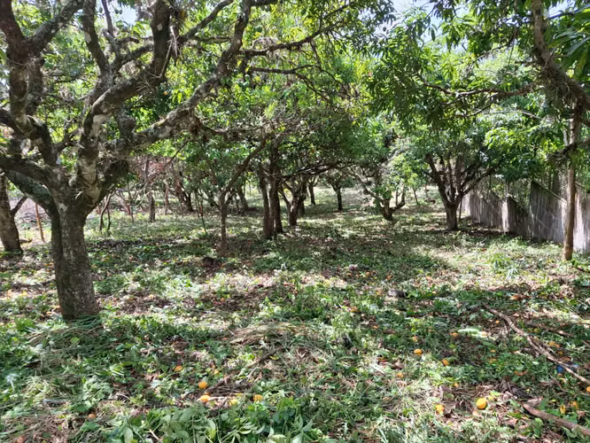 Venta de Terrenos en Apante, Matagalpa