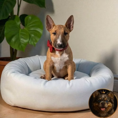 Bull Terrier