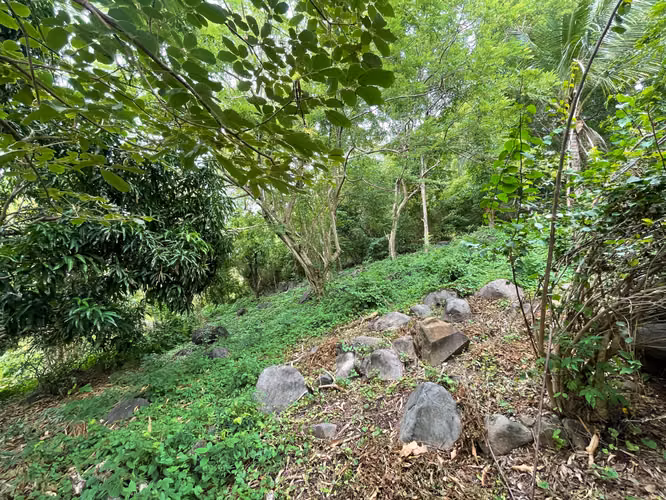 House for sale in Ometepe - Imagen 10