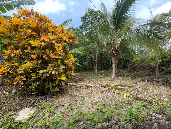 House for sale in Ometepe - Imagen 11