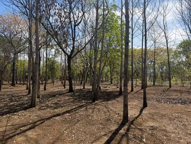  FINCA EN VENTA – LOS ALTOS, MASAYA 