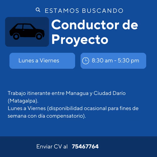 Conductor de Proyecto