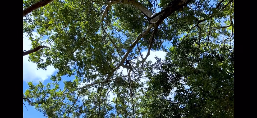 Alquiler de Finca en Jinotepe