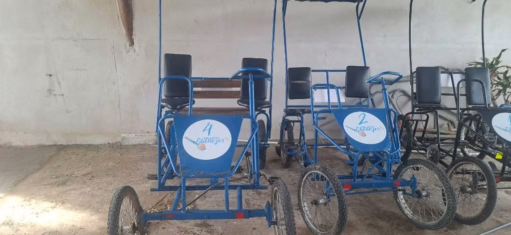 Carritos bicleta para 2 y 3 personas