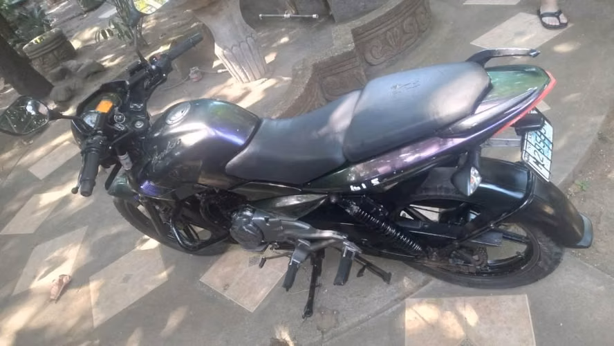 Pulsar 125CC 2021