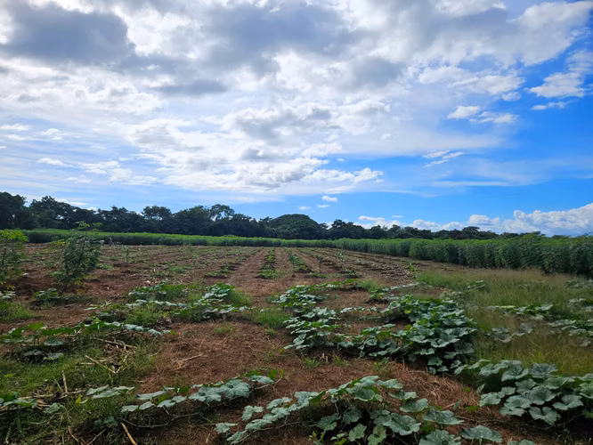 KC-Terreno de 9.45 manzanas en venta en Carretera Masaya-Granada