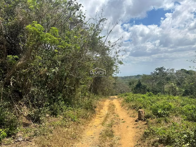 AM - Se Vende Terreno Contiguo a Condominio Acacia - Imagen 9