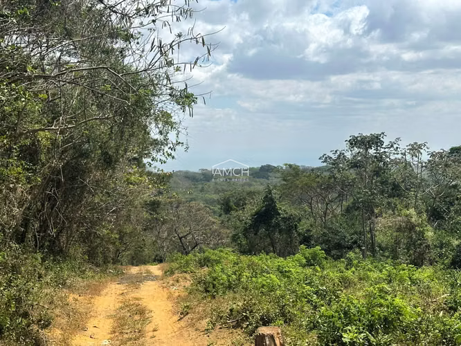 AM - Se Vende Terreno Contiguo a Condominio Acacia - Imagen 10