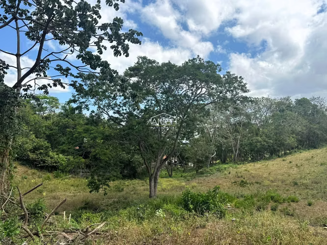AM - Se Vende Terreno Contiguo a Condominio Acacia - Imagen 3