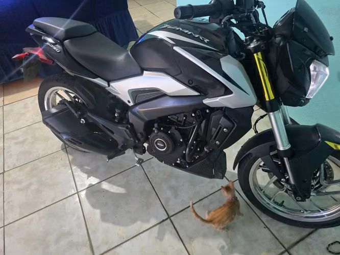 Dominar 250