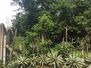Terreno en Altos de Santo Domingo - Imagen 2