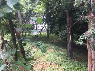 Terreno en Altos de Santo Domingo - Imagen 3