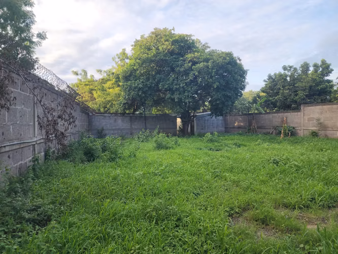 ¡Lote en Venta Km14 Carretera a masaya hacia  Veracruz! - Imagen 3
