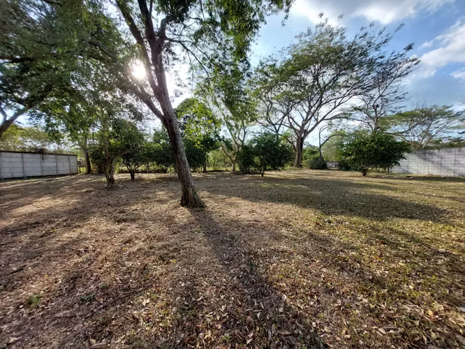 SE VENDE TERRENO EN TICUANTEPE - Imagen 6
