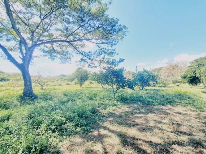 DG-Vendo terreno en Tisma km 38
