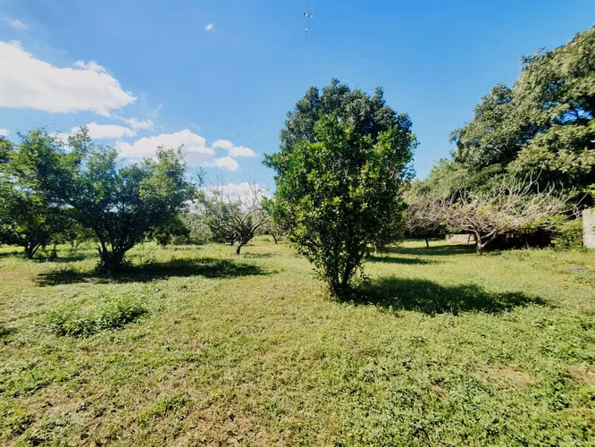 DG-Vendo terreno en Tisma km 38