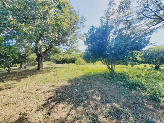 DG-Vendo terreno en Tisma km 38