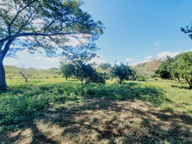 DG-Vendo terreno en Tisma km 38