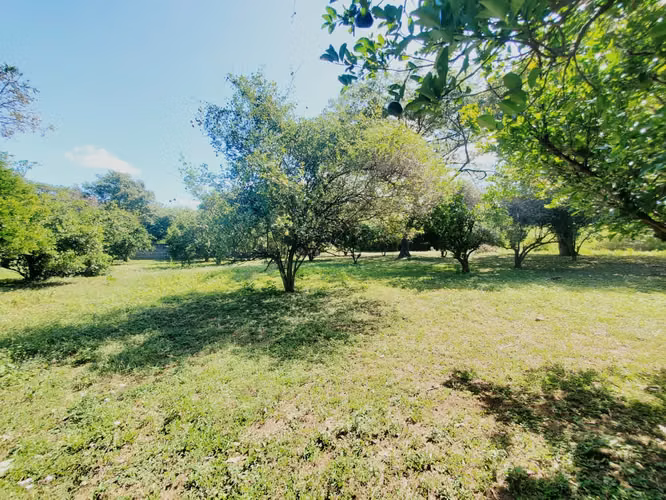 DG-Vendo terreno en Tisma km 38
