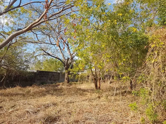 En venta terreno carretera sur Altos de Ticomo