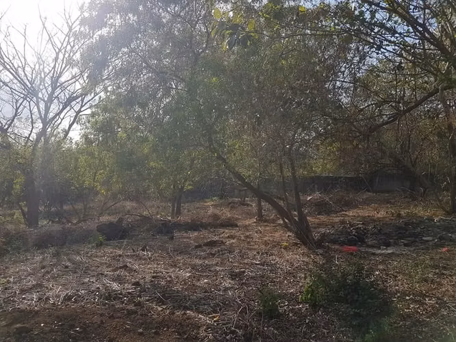 En venta terreno carretera sur Altos de Ticomo