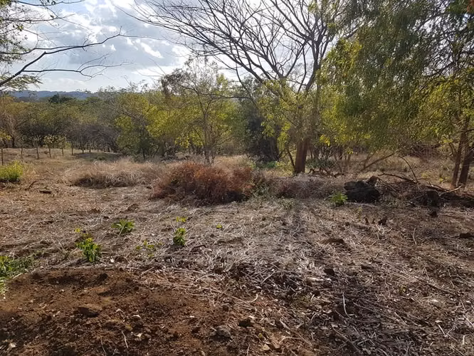 En venta terreno carretera sur Altos de Ticomo