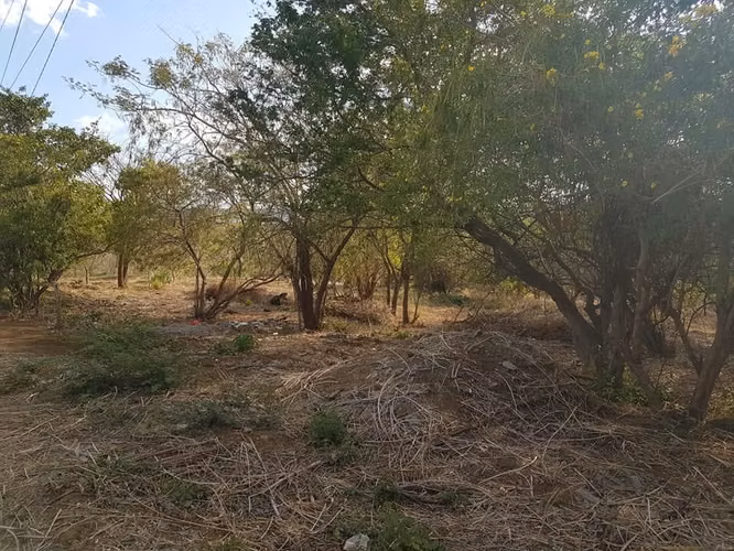 En venta terreno carretera sur Altos de Ticomo