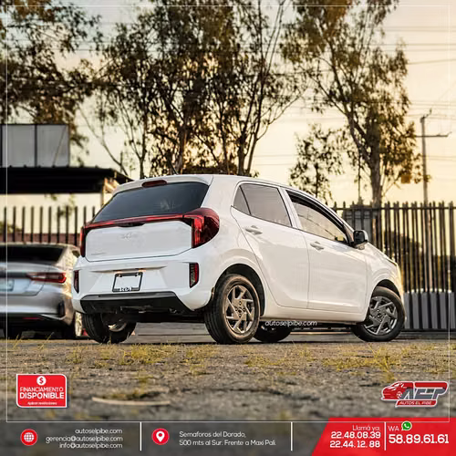 PICANTO 2027 NUEVO DE PAQUETE PRECIOSO ELEMENTO UTILITARIO PARA TODAS LAS EDADES