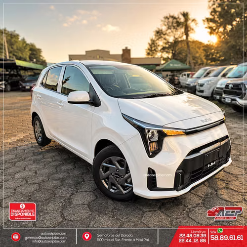PICANTO 2027 NUEVO DE PAQUETE PRECIOSO ELEMENTO UTILITARIO PARA TODAS LAS EDADES