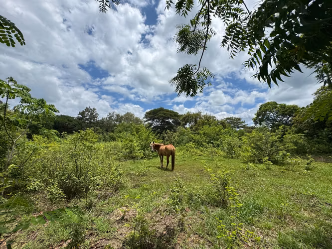 Venta de Terreno frente a Masachapa