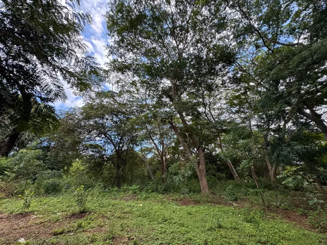 Venta de Terreno frente a Masachapa
