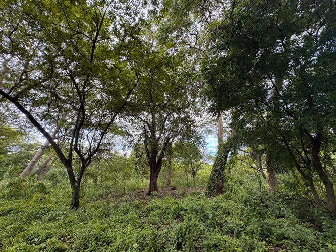 Venta de Terreno frente a Masachapa