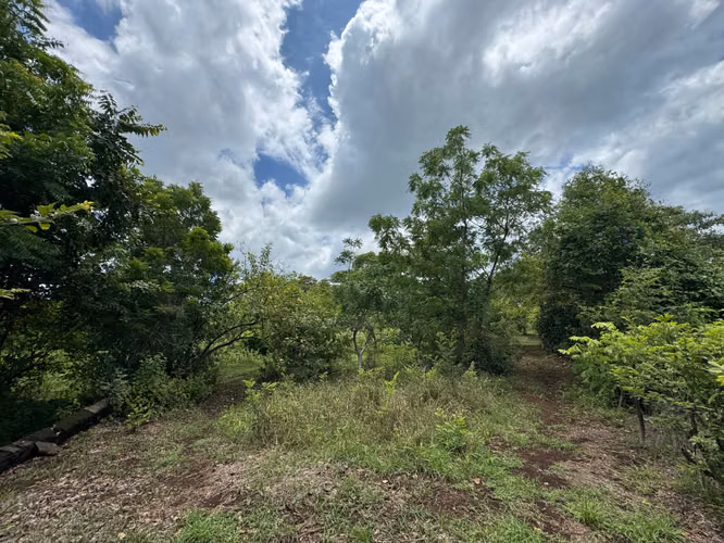 Venta de Terreno frente a Masachapa