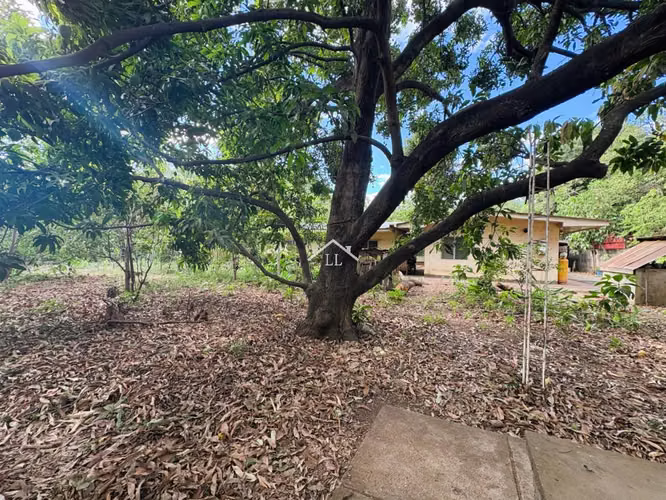 LL - Se Vende Propiedad Comercial en Sabana Grande