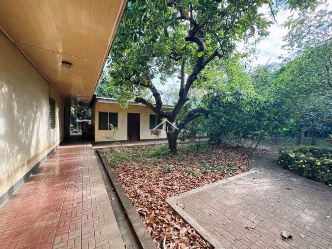 LL - Se Vende Propiedad Comercial en Sabana Grande