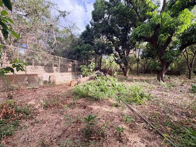 LL - Se Vende Propiedad Comercial en Sabana Grande