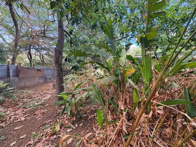 LL - Se Vende Propiedad Comercial en Sabana Grande