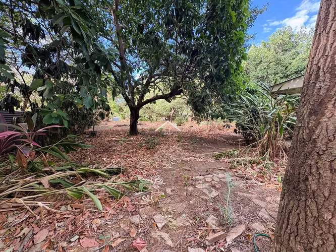 LL - Se Vende Propiedad Comercial en Sabana Grande
