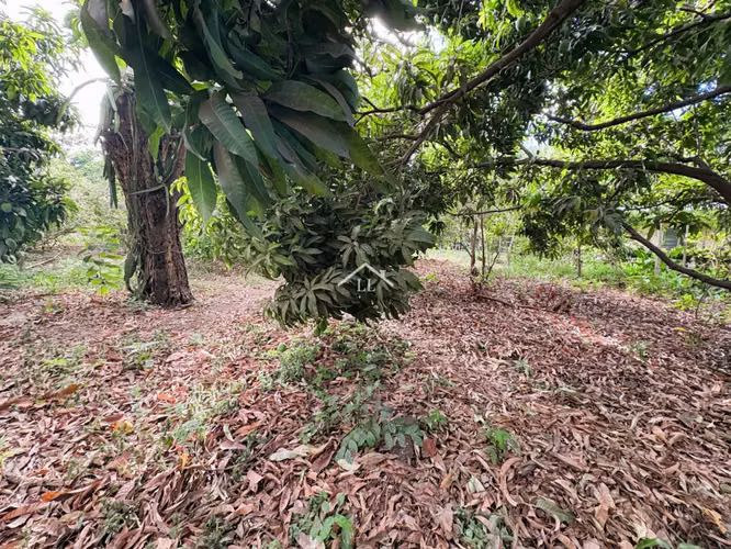 LL - Se Vende Propiedad Comercial en Sabana Grande