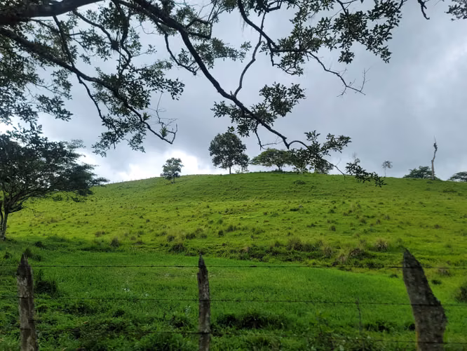 Venta de Finca en Jinotega