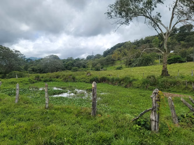 Venta de Finca en Jinotega