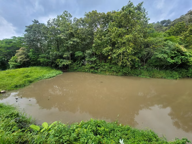 Venta de Finca en Jinotega