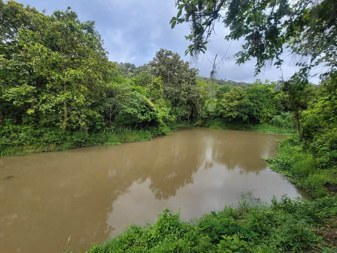 Venta de Finca en Jinotega