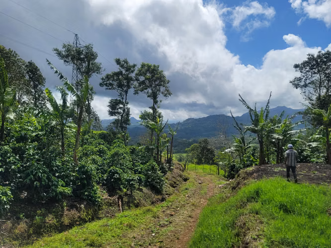 Venta de Finca en Jinotega