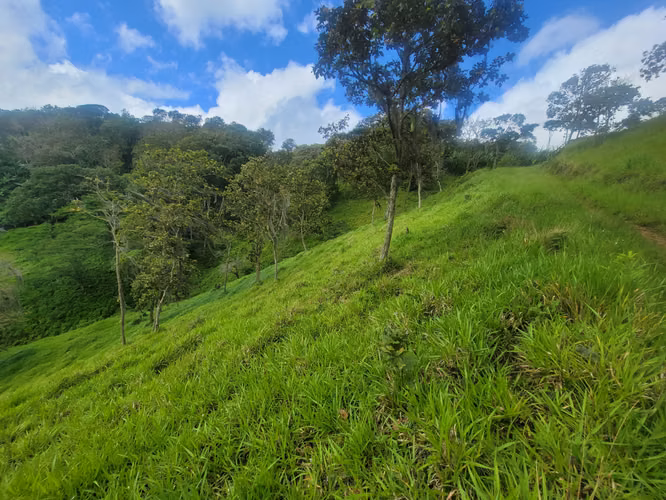Venta de Finca en Jinotega